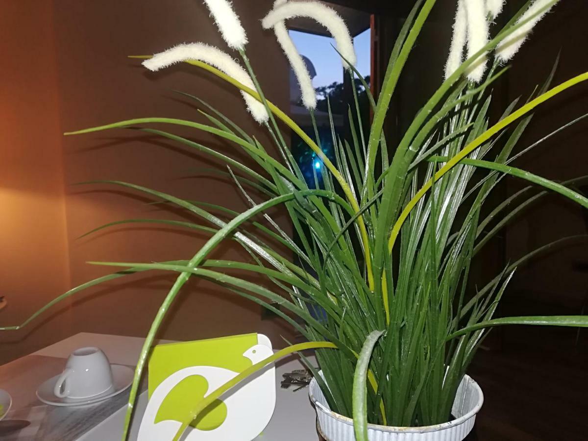 Frühstückspension Elisir 3*